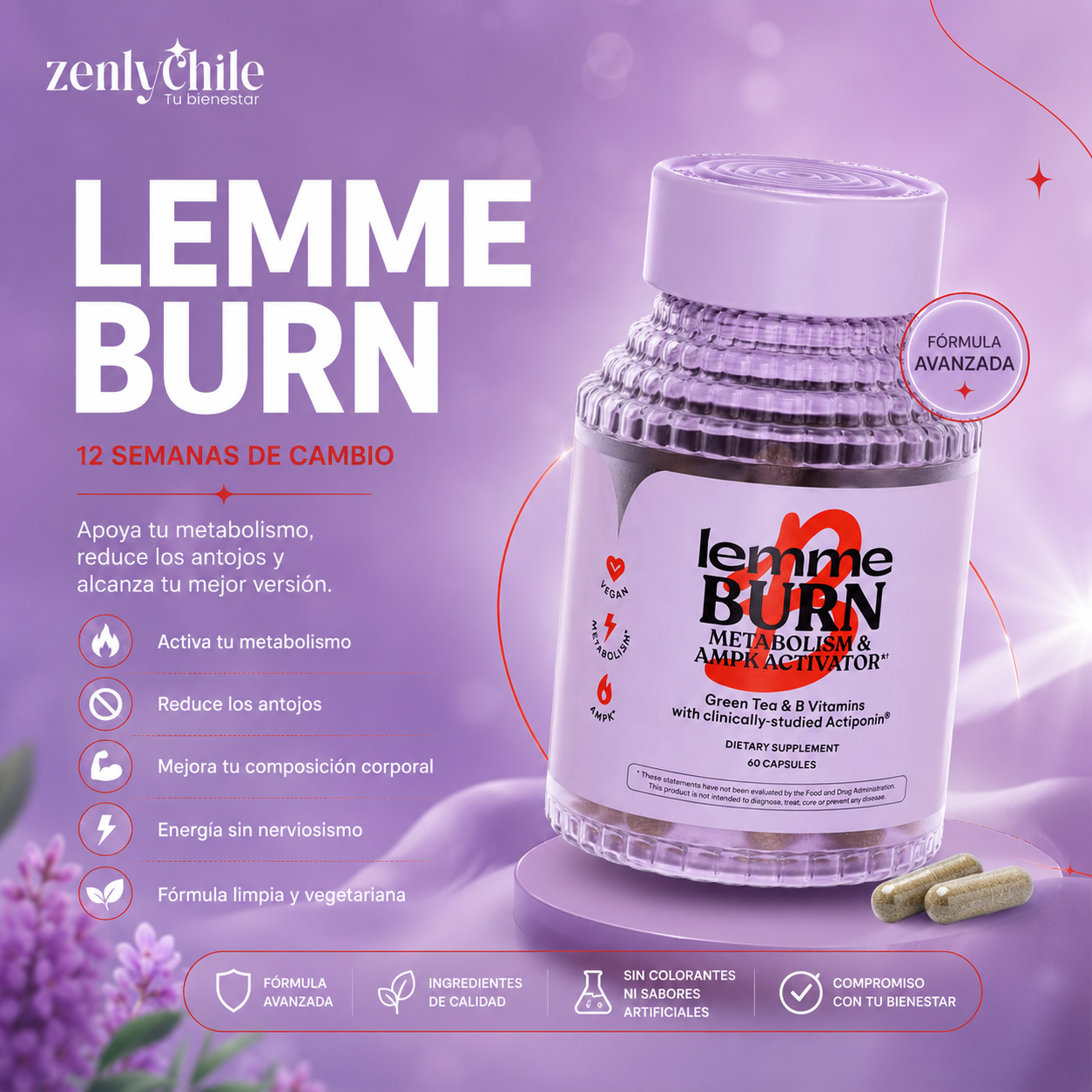 Lemme Burn — 12 Semanas de Cambio