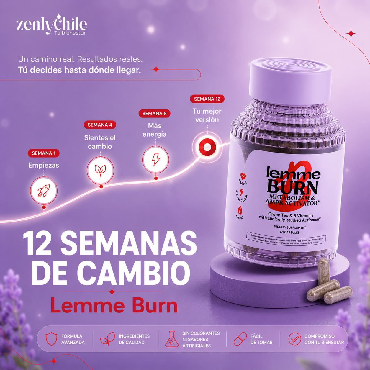 Lemme Burn — 12 Semanas de Cambio